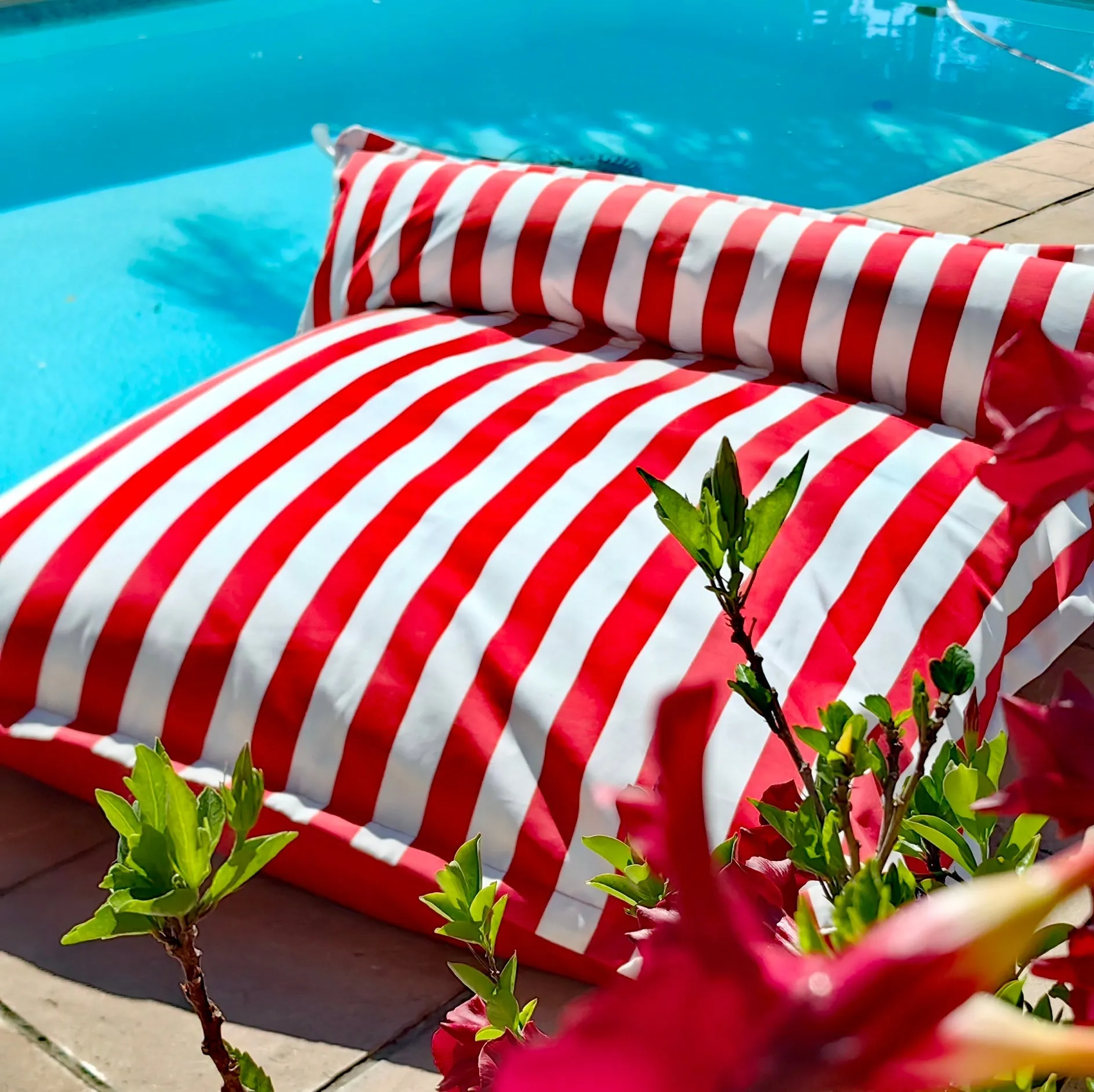 Aqua Loungers "Deluxe" - with Cushion