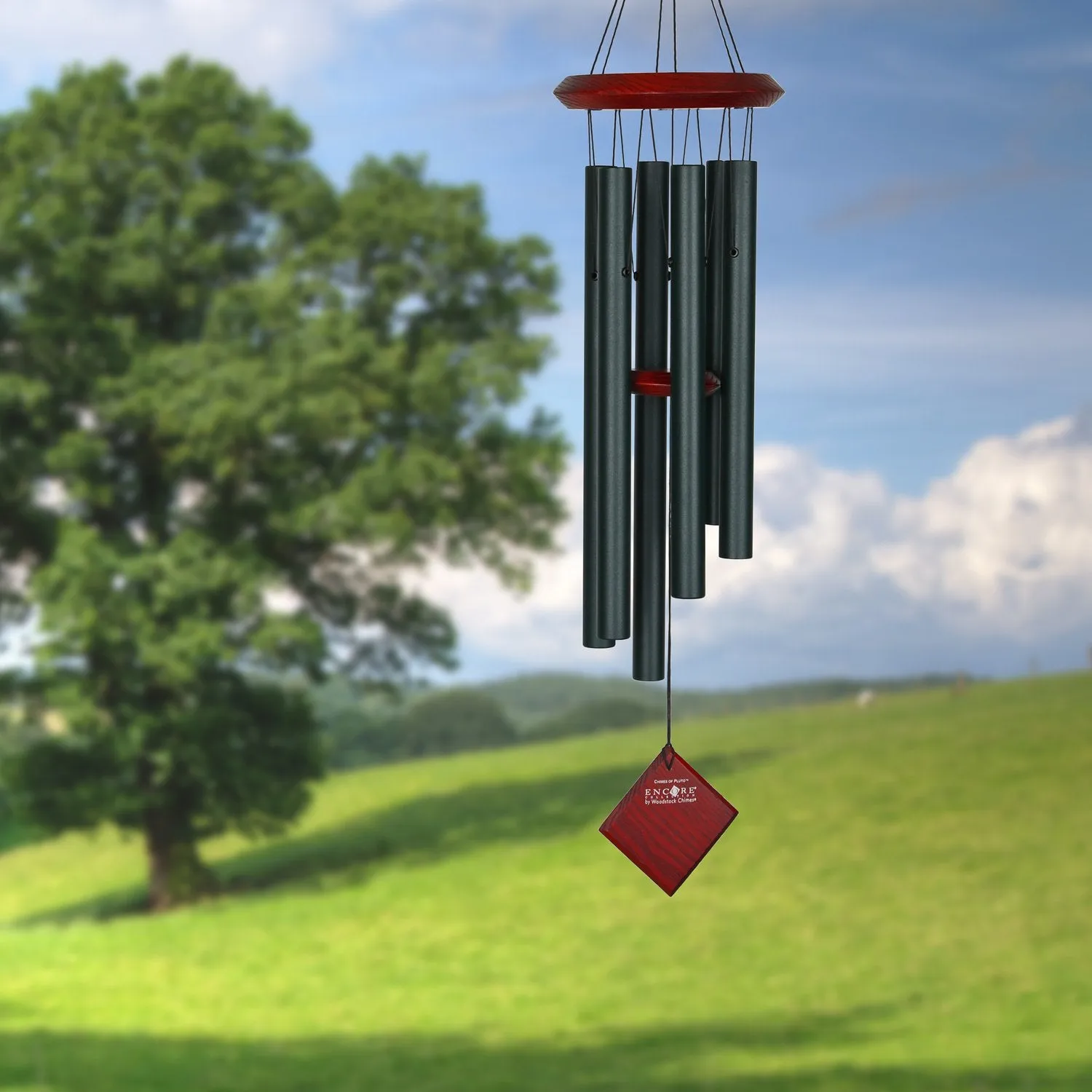 Encore® Chimes of Pluto - Evergreen