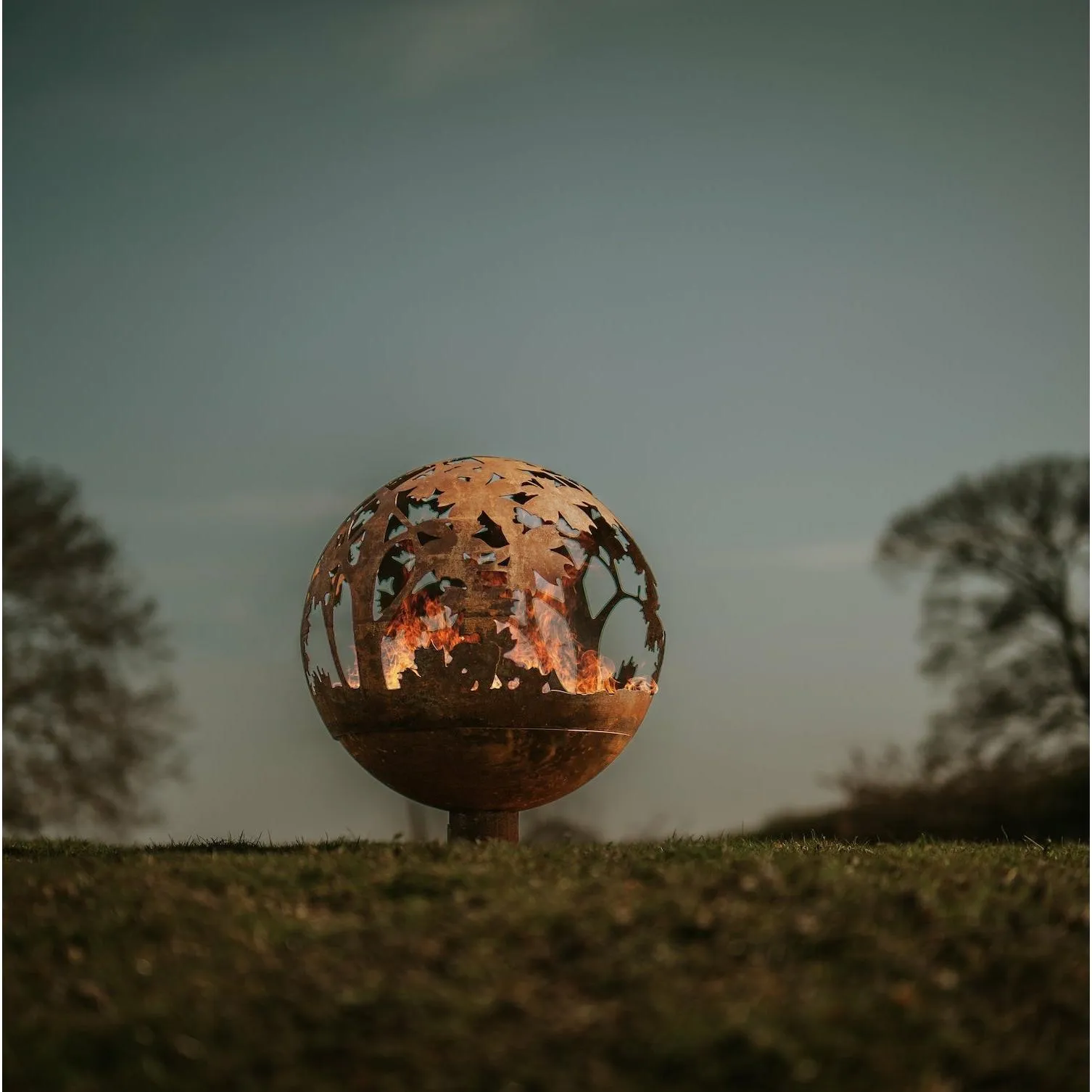 Fire Globe, Leaves