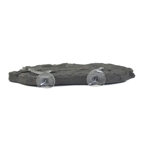 Repti Gear Floating Turtle Island Reptiles