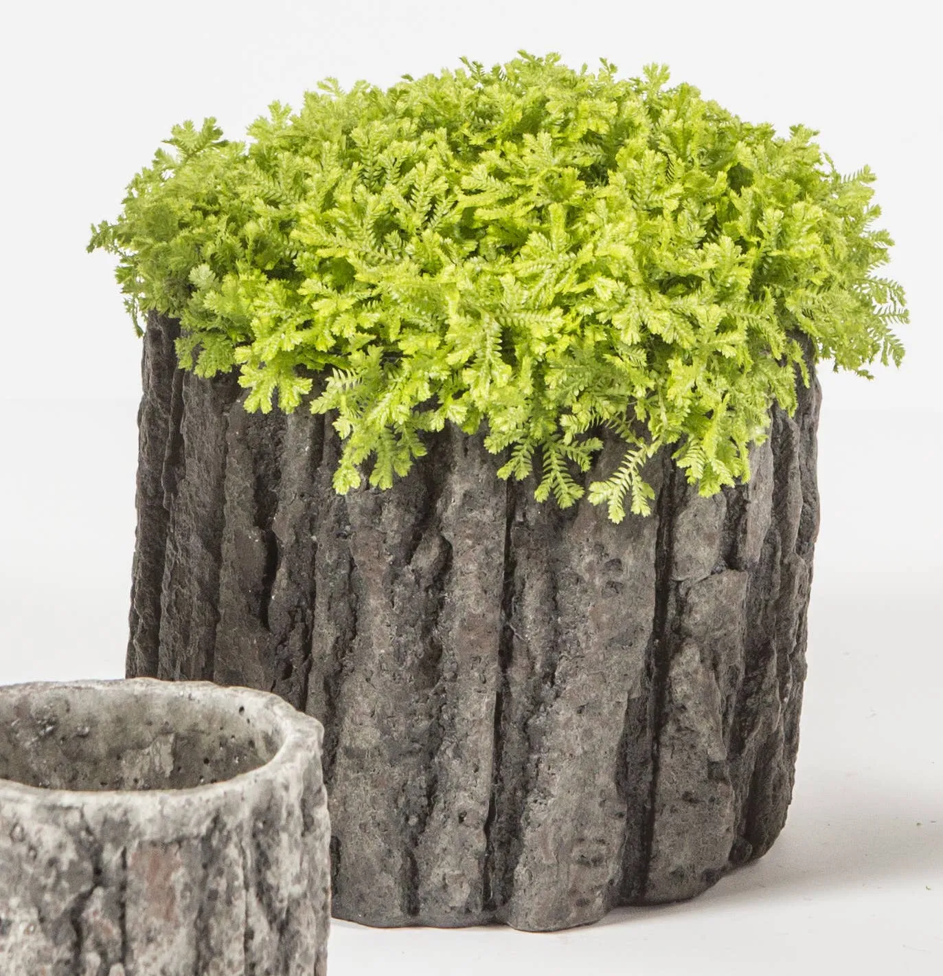 X-Large Round Concrete Pot with Bark Motif
